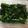 クック78R779☆'s cooksnap of when they made レンジで簡単☆菜の花の塩昆布ナムル.