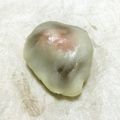 ぱんだぞう's cooksnap of when they made 切り餅でいちご大福.