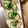 まぁ☆☆★'s cooksnap of when they made 殻付き牡蠣は電子レンジでチン.