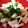 ♬あじさいのレシピ♬'s cooksnap of when they made 3分でできる♪豆苗と長芋の梅サラダ！.