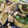 Mow*Mow's cooksnap of when they made 豚ロースと茄子の生姜焼き.