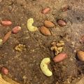 mini0005's cooksnap of when they made 生おからでブラウニー風ノンオイル＊炊飯器.