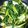 momo634's cooksnap of when they made 10分で１品♪栄養満点！スタミナ野菜炒め.