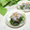 mielle's cooksnap of when they made ほうれん草としらすのおろし和え.