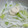 ロクシタンマニア's cooksnap of when they made 簡単！大根のわさびマヨネーズサラダ.