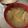 ポンポコあぽろ's cooksnap of when they made おみそ汁に焼きお揚げ♪.