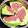 ターぽん's cooksnap of when they made キャベツを食べよう！ドボン鍋.
