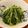 かなりんココりん's cooksnap of when they made 簡単！水菜のナムル.