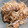 こうのとりヒロシ's cooksnap of when they made ご飯がすすむ☆豚肉とえのきともやし炒め.