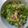 aizu_po's cooksnap of when they made サラダ菜のツナサラダ.