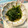 bonnet's cooksnap of when they made エチオピア★ゴメン風青菜炒め.