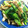 クックQ1NWFD☆'s cooksnap of when they made 超簡単！　小松菜としめじのおひたし.