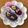hitomik☆'s cooksnap of when they made 紫イモのスイートポテト.
