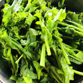 azbjbn's cooksnap of when they made 差が出る！菜の花の下処理＠50℃洗い.