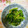 くネコまろす's cooksnap of when they made 菜の花のからしごま和え.