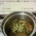 ウルトラマンド's cooksnap of when they made 2021年ウルトラマンドのイカナゴの釘煮.