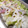 キラとココ's cooksnap of when they made 簡単♡蓮根とレタスのデリ風サラダ.