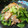 虹色♪︎ちゅーりっぷ's cooksnap of when they made 鶏のから揚げと小松菜ともやしのおひたし☆.