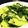 waka0812's cooksnap of when they made ほうれん草のチーズ玉子.