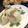 うどん堂's cooksnap of when they made とろあま♪新玉ねぎのミルクチーズスープ.