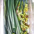 めめサン's cooksnap of when they made わらびのお漬物.