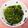 かのこはLOVE's cooksnap of when they made 【定番】ほうれん草の胡麻和え.
