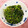かのこはLOVE's cooksnap of when they made 【定番】ほうれん草の胡麻和え.