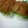 ちびてんママ's cooksnap of when they made 鰻とアボカドで☆ドラゴンロール.