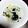 ひなたのねこやなぎ's cooksnap of when they made レンジで♪わかめと新玉ねぎの簡単サラダ.