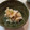 canaon's cooksnap of when they made 鶏皮と大根おろしのポン酢和え.
