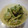 食パンダ's cooksnap of when they made ウチの定番、コゴミのマヨ和え.