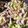 クック18MWHB☆'s cooksnap of when they made 作り置き☆常備菜のために作る豚肉野菜炒め.