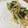 みてみてー！'s cooksnap of when they made ほうれん草ともやしの中華和え.