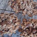 マコー家のヤミー's cooksnap of when they made 基本の材料4つ！簡単グラノーラクッキー.