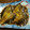 クック7FNN0F☆'s cooksnap of when they made 黄金レシピ　超簡単　あっさり鰈の煮付け.