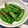 ☆のん☆☆'s cooksnap of when they made 超簡単！スナップエンドウのおかか和え♡.