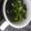 ＊とみこ＊'s cooksnap of when they made ネギ塩＊わかめスープ.