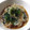 ちゃむきき's cooksnap of when they made 新たまねぎとワカメで中華風酢の物☆.