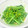 くりすたるけいこ's cooksnap of when they made 菜の花のからし和え.