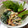 clover♡3's cooksnap of when they made 鉄分補給に♡ひじきとほうれん草のマヨ和え.