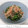 ちょこ☆ちょこ's cooksnap of when they made 超簡単★ほうれん草のおひたし.