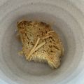 joy09's cooksnap of when they made もう捨てません！えのきの石づきステーキ.