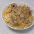 きらり流れ星's cooksnap of when they made 他人丼(豚ロース肉の卵とじ).