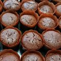 ごんべい君's cooksnap of when they made 簡単チョコカップケーキ(パウンドでも).