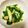 ˚✧₊⁎ゆう˚✧₊⁎'s cooksnap of when they made ニラと長ねぎの酢味噌和え♪.