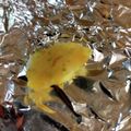 ぬこひめゆき's cooksnap of when they made 離乳食後期☆豆腐と野菜のおやき.