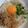 mikiha5's cooksnap of when they made お二人さんの冷やし納豆そば.