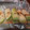 きなりん＊'s cooksnap of when they made 簡単！白ネギのスパイス焼き.