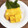 horseland's cooksnap of when they made お寿司屋さんのような＊だし巻き卵.
