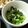 せっちゃん's cooksnap of when they made うるいの山葵和え.